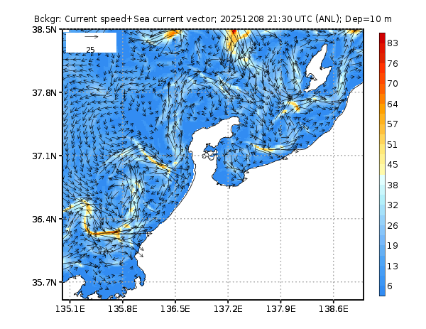 Long-term nowcast/forecast